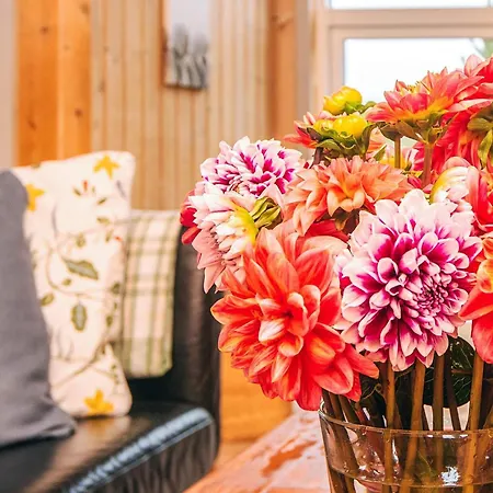 5 Person In Henne Casa de Férias Henne Strand